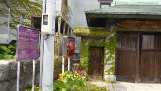 蔦の生えた門構え