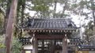 樹林に囲まれています