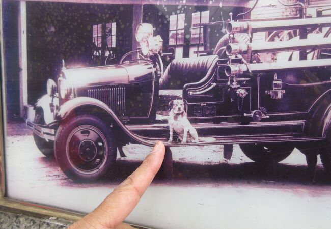 出動回数 1,000回 以上！！