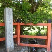 大田神社のカキツバタ