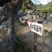 津和野藩主の亀井家の墓所