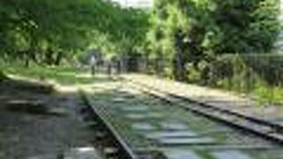 青々とした新緑も気持ちが良いわね