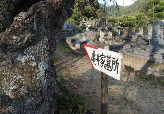 津和野藩主の亀井家の墓所