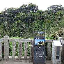 江島神社奥津宮に向かう階段途中にある山二つ展望台