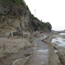 このような遊歩道が海岸に沿ってあります。