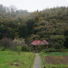 雪村庵