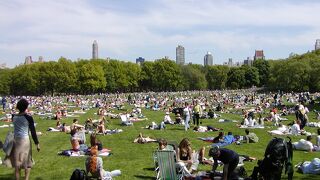 広大な敷地の公園