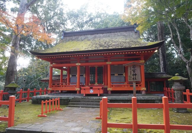 応神天皇の子女、5柱を祀る神社