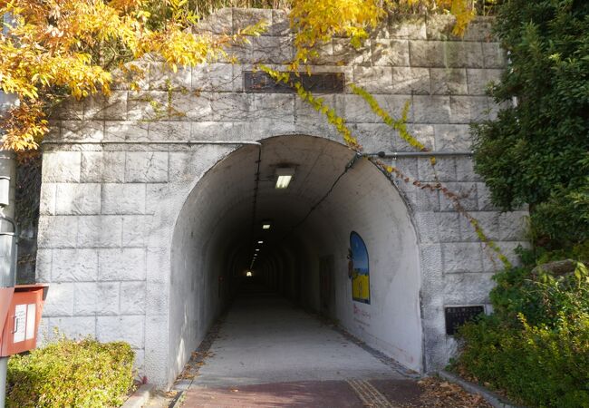 恋叶トンネル(真玉人道トンネル)