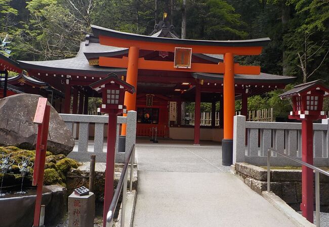九頭龍神社の本宮まで時間がかかるので、箱根神社境内にある新宮のみ参拝しました。