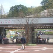 河内長野市にある規模の大きな植物園