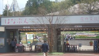 河内長野市にある規模の大きな植物園