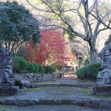 岩戸寺