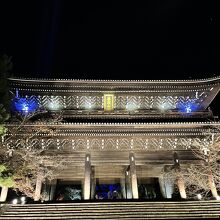 知恩院 秋の紅葉ライトアップ