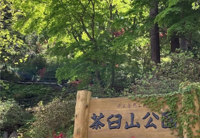 ツツジの名所です