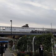 バラの駅