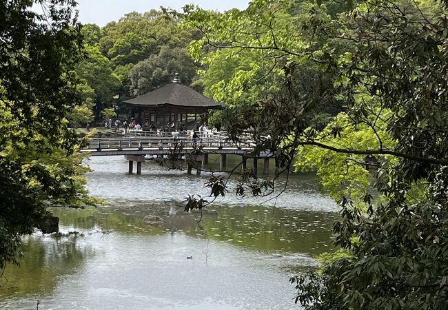 鷺池