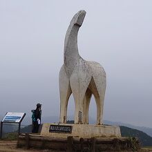 陣馬高原