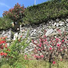 山の斜面に石垣を作ってそこに建てられています