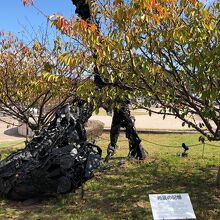 瀬戸内国際芸術祭