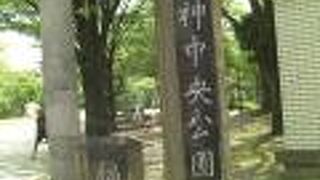 結構広大な公園です