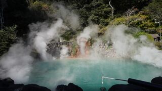 それぞれ全く様相が違います