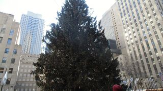 大型コンプレックス