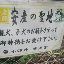 犬を撫でて安産を祈願しましょうね。