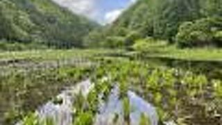 東京からは結構遠い