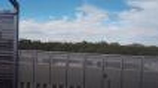 ディズニーへ！