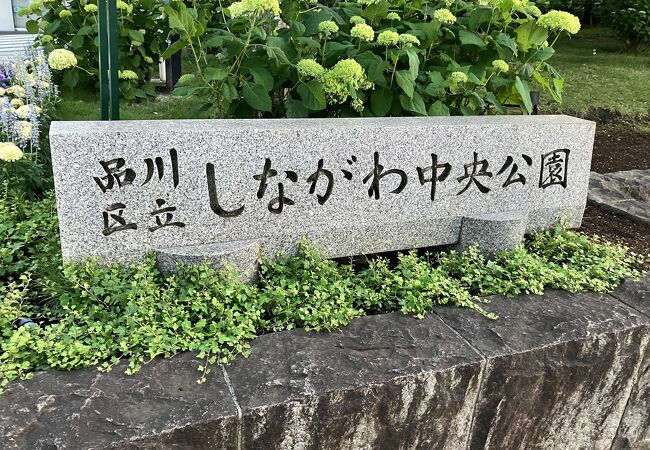 品川区役所前にある公園