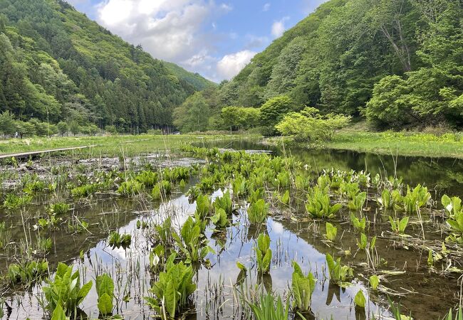 尾瀬檜枝岐温泉