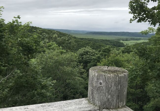 展望台までの整備された、なだらかな坂道は気持ち良かったです