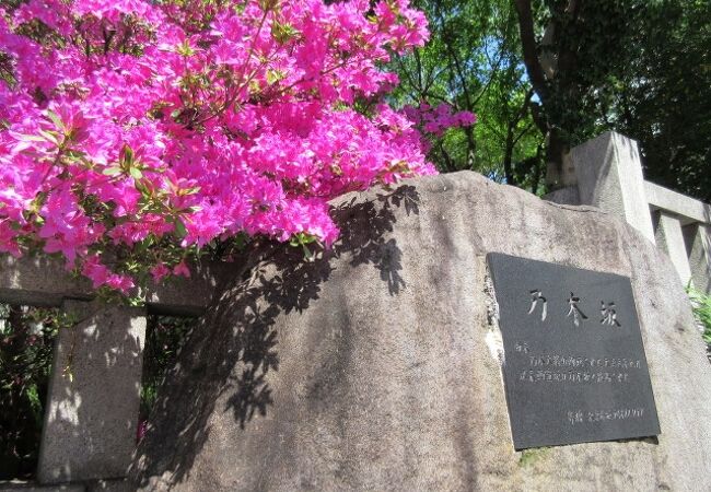 つつじも咲いて