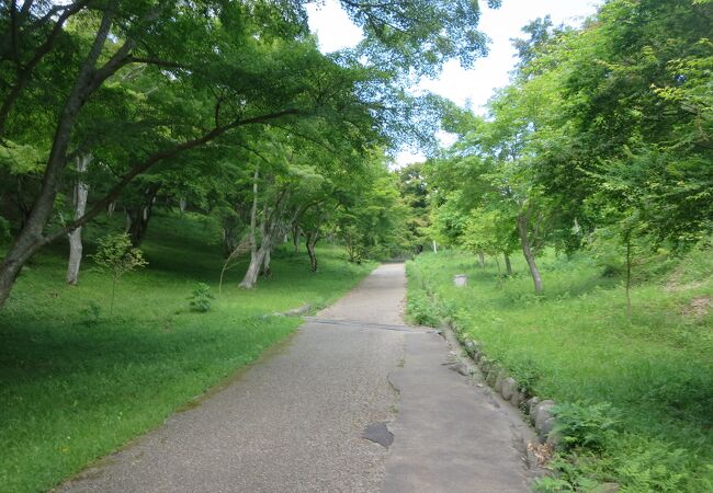 新緑の遊歩道は爽やかな風が流れていました。