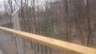 自然がいっぱい