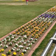 春が来てぽかぽか陽気の大通公園