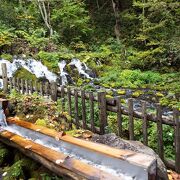 ミネラルを含んだ名水として湧き出る「京極湧だし公園」!!