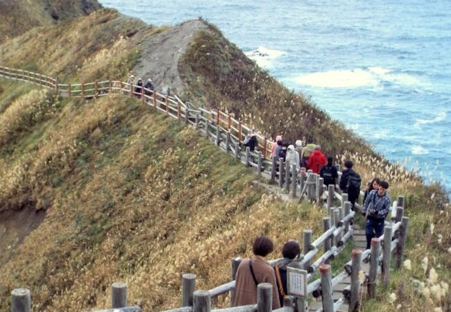 壮大な景観の「神威岬」