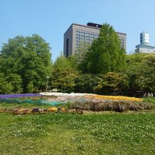 宮城県庁前に杜がある勾当台公園