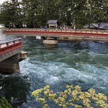 客室からの眺め