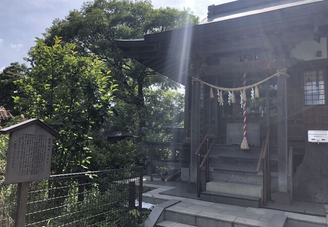 碑文谷公園の南側の弁天池の辺りにあります。