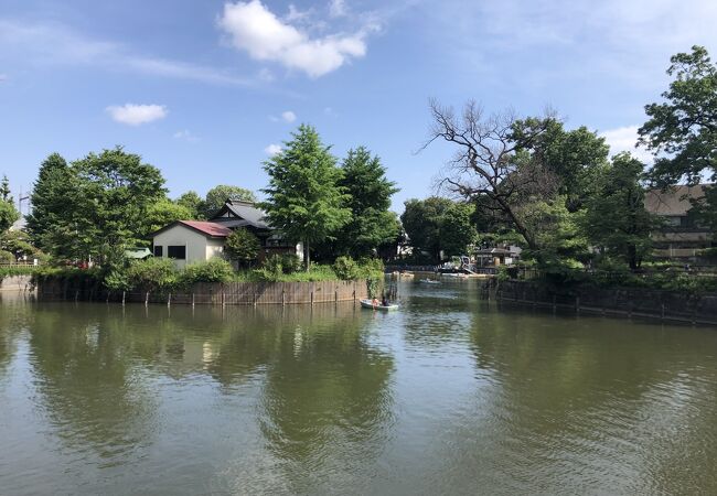 ポニー乗馬とボートに乗れるのが特徴です。