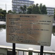 無料でヘラブナ釣りのできる公園です。