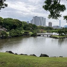 庭園越しの高層ビルはミスマッチでいい感じです