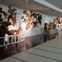 いろいろな動物のぬいぐるみが展示されています