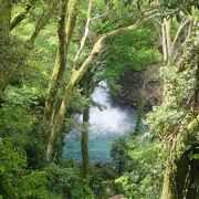 伊豆の人気観光スポットの一つ、水量も豊富で浄蓮の滝は迫力がありました。