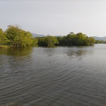 大沼の西にある小沼。