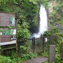 浄蓮の滝の全景。高くない滝ですが水量が豊富で大迫力です。