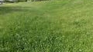 水面を静かにカヤックが通り過ぎていきました